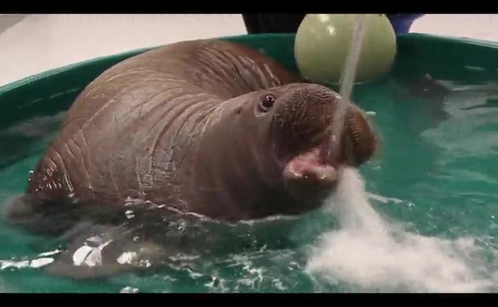 cuchara,debajo,grifo,agua