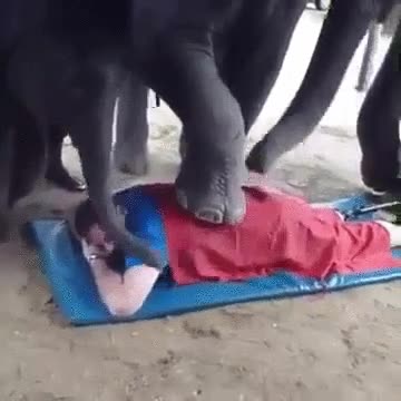 masaje,elefantes,como nuevo