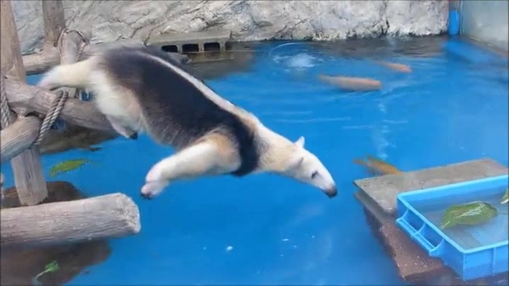 hambre,imposible,estirar,. bocado