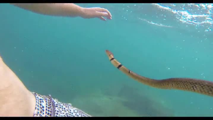 peores,sensaciones,miedo,picadura