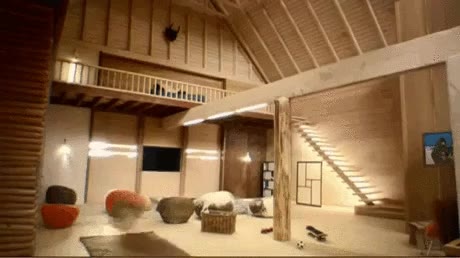 casa,pajaro,tardis,mas grandes por dentro