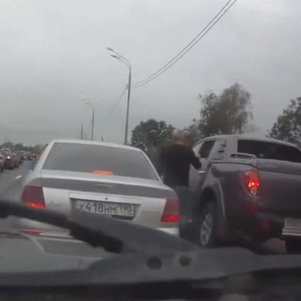 perro,salva,tener,pelea,carretera