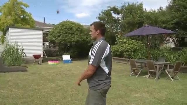 tres,lanzamientos,perfectos,jard&iacute;n