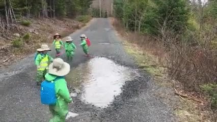 pequeño,encontrar,charco,grande,amigos,felicidad