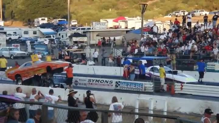 coches,comer,meses,humano