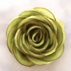 creando,preciosa,flor.kiwi