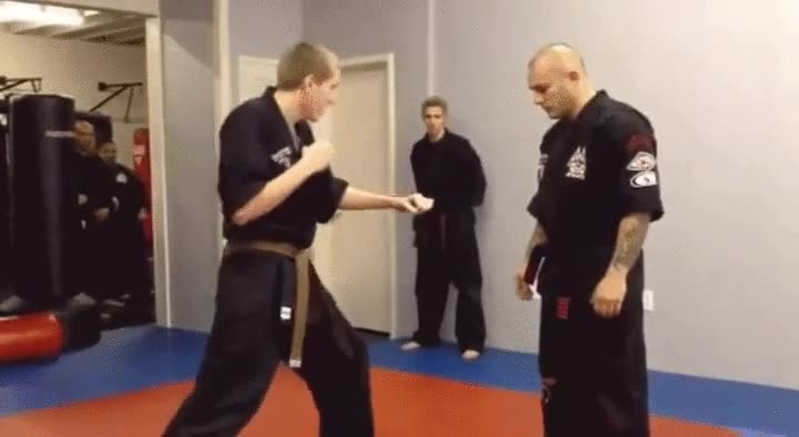 verdadero,maestro,utiliza,técnicas,ganar,combate