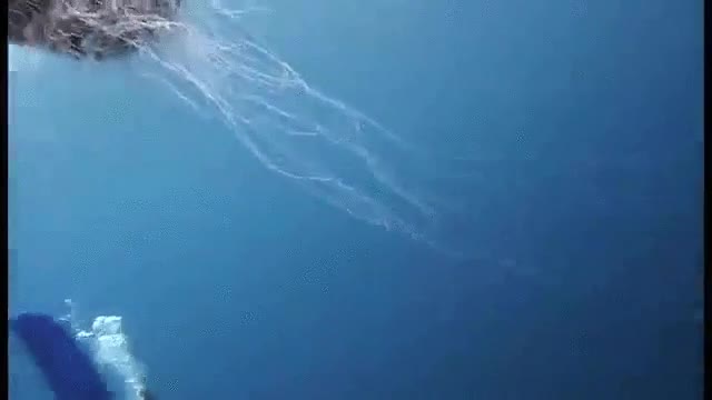 medusa,nomura,grande,mundo