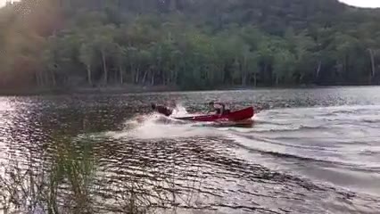 ves,remar,tozudos,apuesta