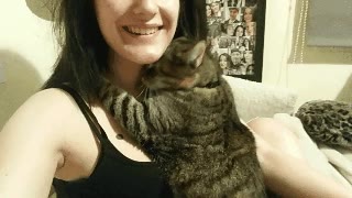 gato,cariño,dueña,abrazo,empalagoso