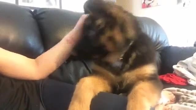 humano,necesitar,atenci&oacute;n,ahora mismo