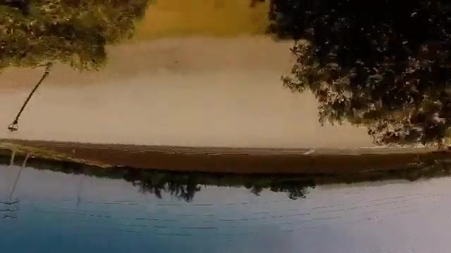 dron,hacer,piruetas,entre &aacute;rboles