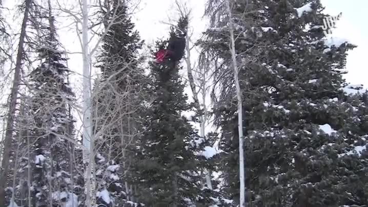 todo,sube,baja,&aacute;rbol