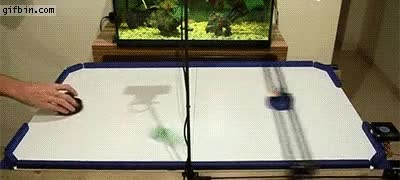 capaz,meter,punto,m&aacute;quina,air hockey