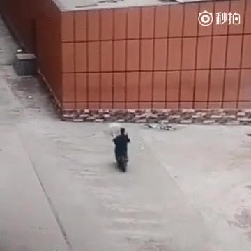 pasa,moto,paraguas,escribir,whatsapp,tortazo