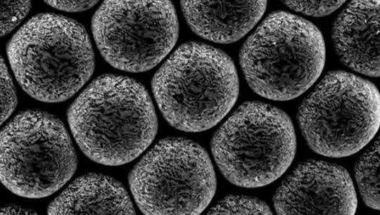 incre&iacute;ble,zoom,ojos,mosquito,apto,sensibles