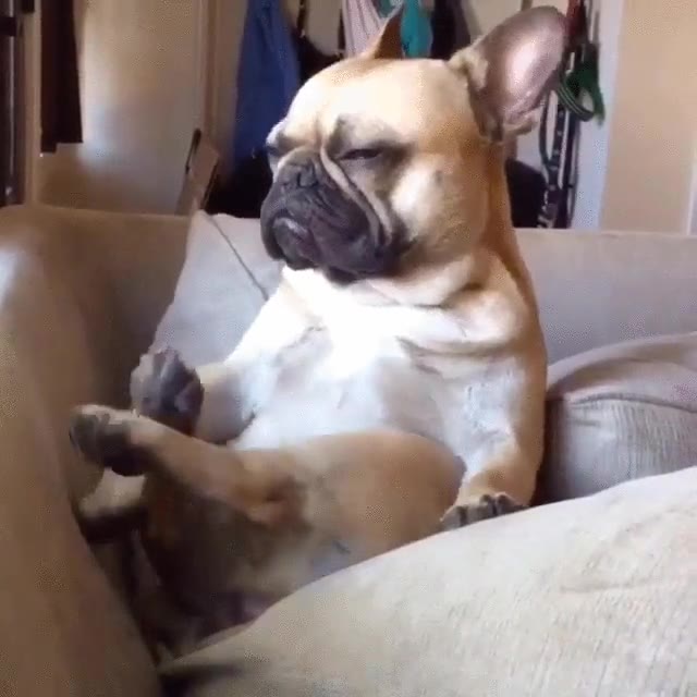 luchar,fuerzas,mantenerse,despierto