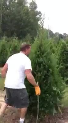 jardinero,ninja,profesi&oacute;n,futuro