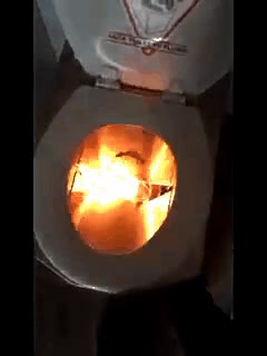 forma,efectiva,mantener,taza,wc,limpia