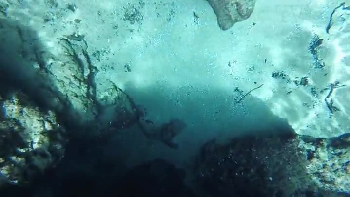 viajando,agujero de gusano,piscina