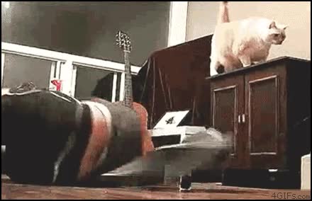 gato,odiar,desear,peor,tele,cara