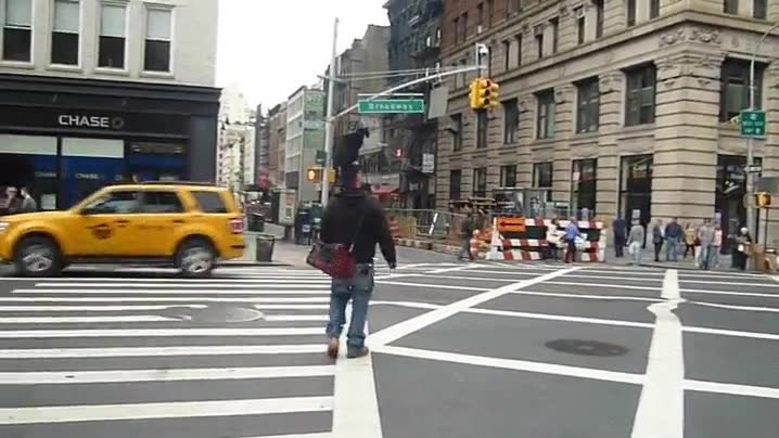 típico,hombre,cruzar,calle,gato,cabeza