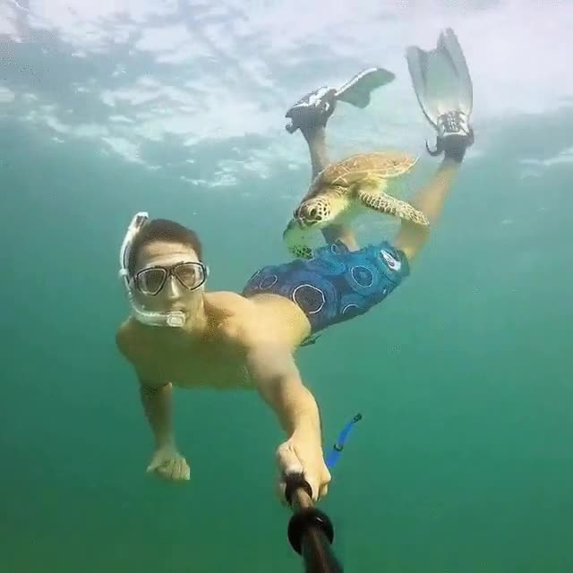 palo,selfie,stick,agua,merecer la pena