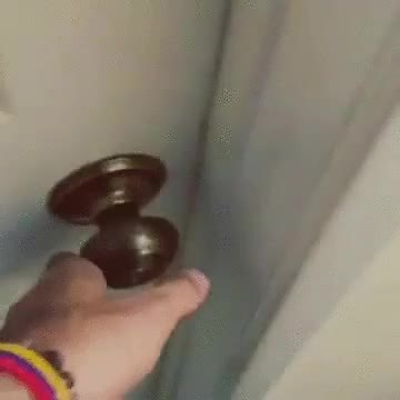 perro,momento,entrar,casa,mundo