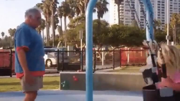 perro,derecho,parque,columpio