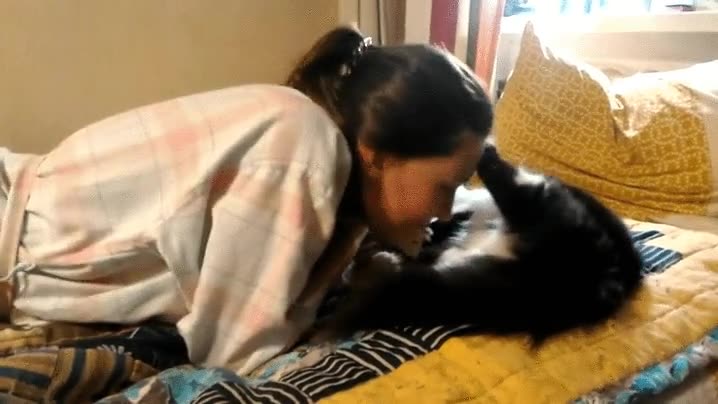 gato,decidir,basta,mimos,largo,humana