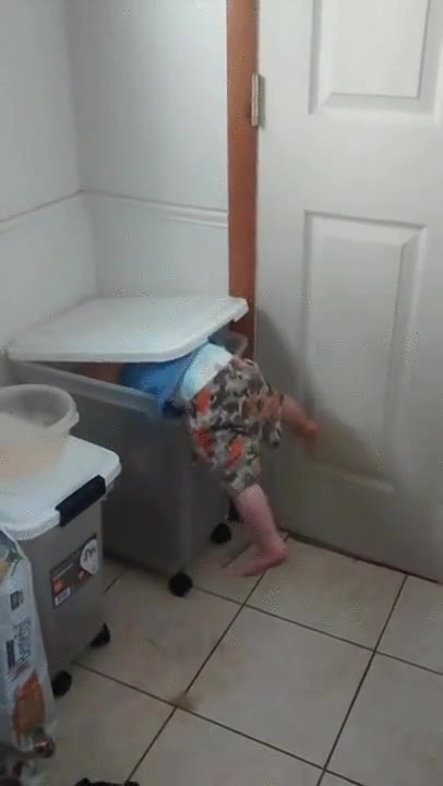 ni&ntilde;o,dispuesto,lo que sea,alimentar,perro