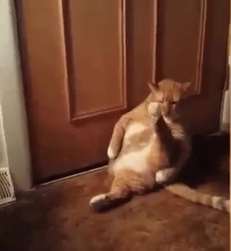 Enlace a No estoy gordo, solo tengo los huesos grandes