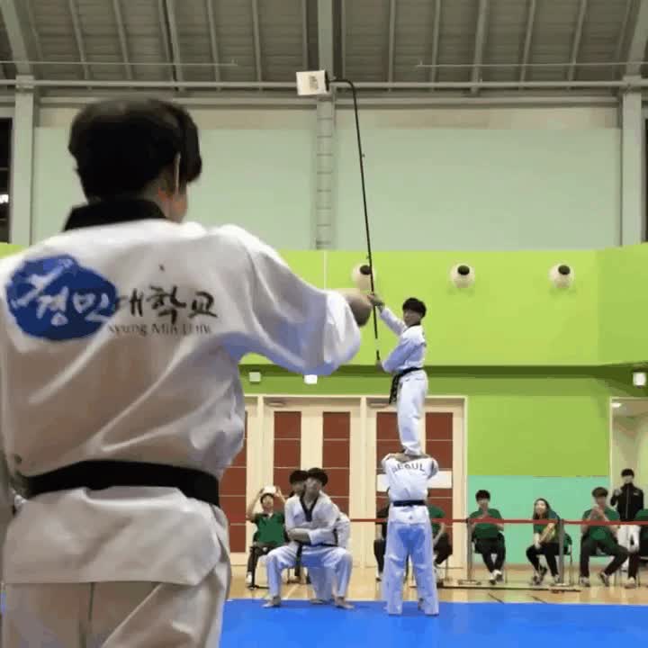 entrenamiento,cinturon negro,salto,patada