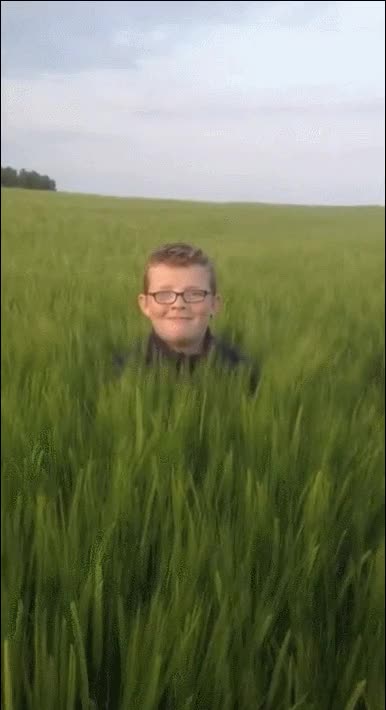 perro,emboscada,hierba,ni&ntilde;o