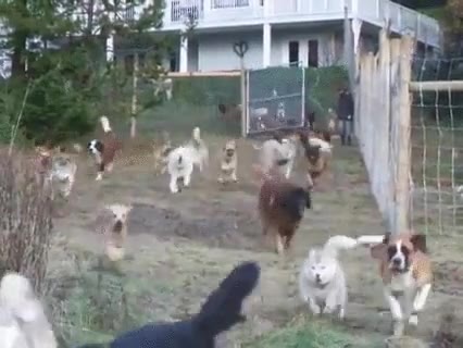 estudiantes,salir,&uacute;ltimo examen. universidad