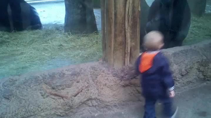 hacer amigos,zoo,ni&ntilde;o