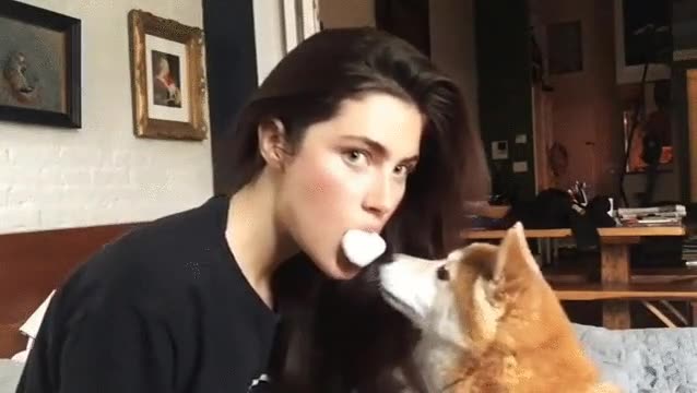 comida,perro,forma,cari&ntilde;osa