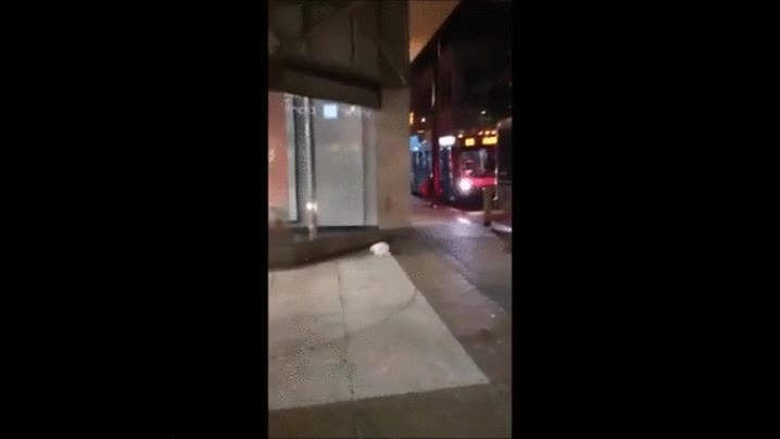 bolsa,bailar,mejor,nosotros,aire