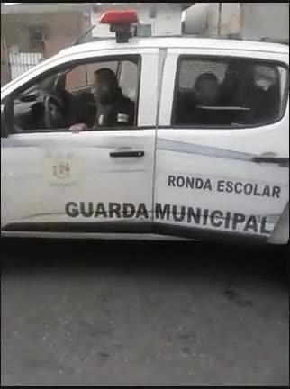 forma,tonta,dejar,escapar,ni&ntilde;o,arrestado