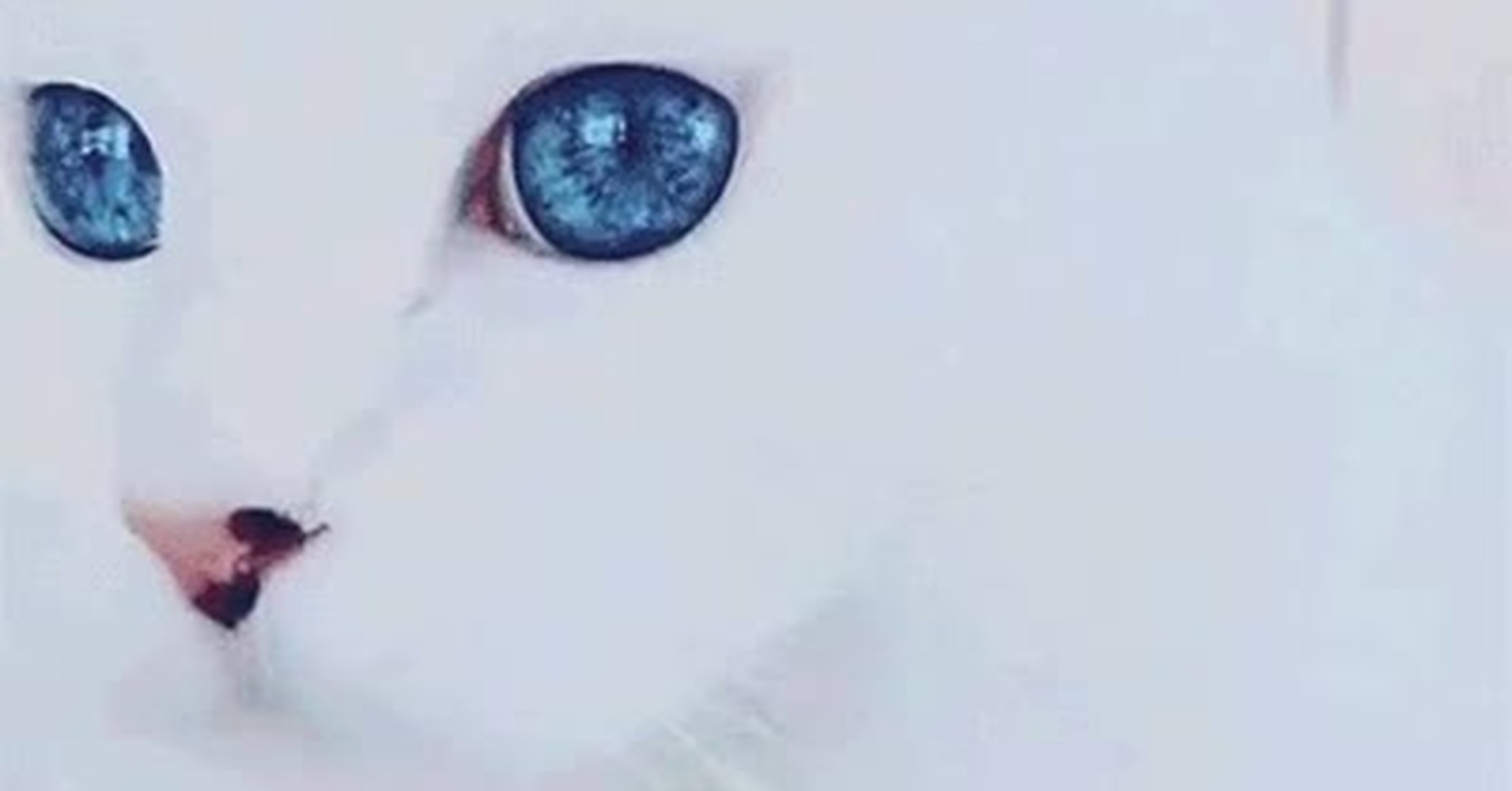 los ojos azules mas bonitos del mundo