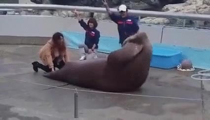 todo el mundo,abdominale,tableta