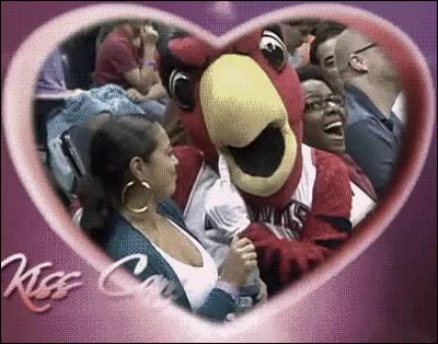 kiss cam,momentos,apasionados,beso,mascota