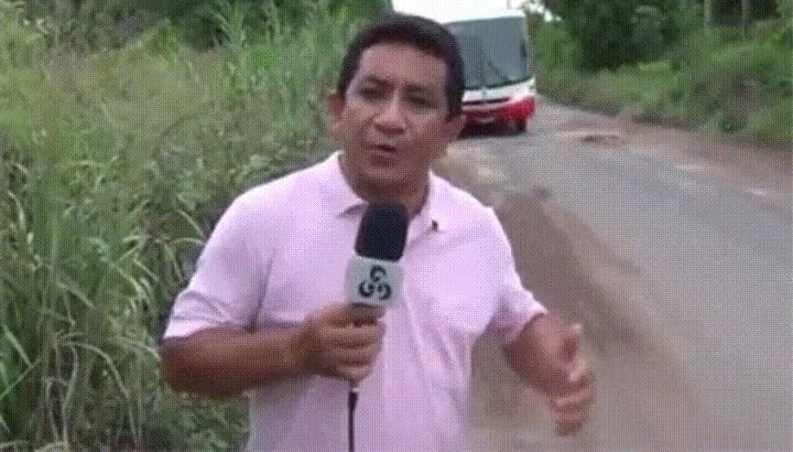 profesional,reportero,autob&uacute;s,casi,vida