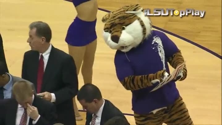 mascota,espiar,t&aacute;ctica,equipo,rival