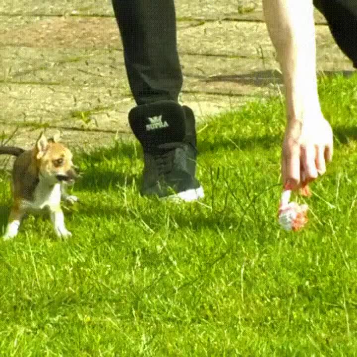 todav&iacute;a,mucho,aprender,joven padawan