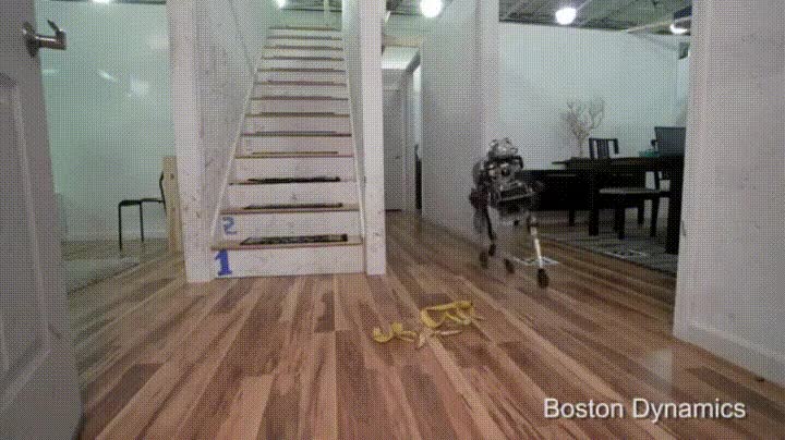 a&ntilde;os,mejora,rob&oacute;tica,derrotada,piel,pl&aacute;tano