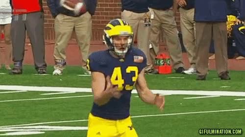 espera,donde esta,pelota,rugby