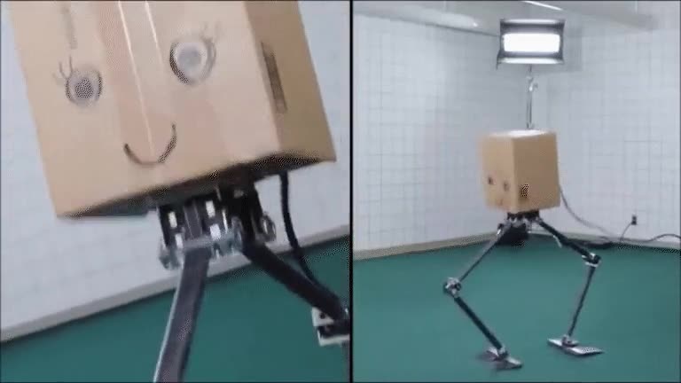 Enlace a Años de evolución robótica para llegar a este mismo momento