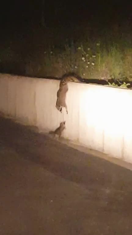 trabajo,equipo,ayudar,carretera