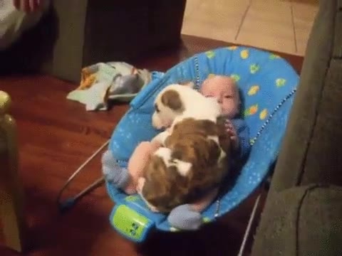 parece,buen lugar,echarse,siesta,bebe